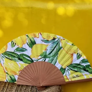 Les éventails Véra pilo