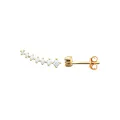 Boucles d'oreilles Chemin doré