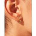 Créoles Tara zircons blancs 