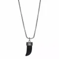 Collier Indiginous Knowldege