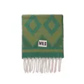 Echarpe Loreto Vert 